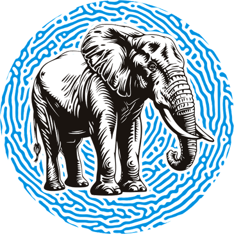 Elephant — KaleidoAfrique
