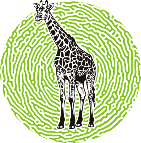 Giraffe — KaleidoAfrique