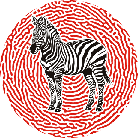 Zebra — KaleidoAfrique