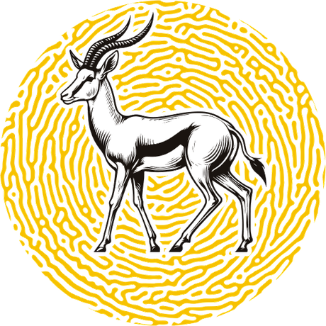 Springbok — KaleidoAfrique